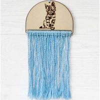 Chaton turquoise